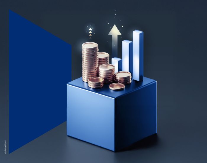 Margin Trading